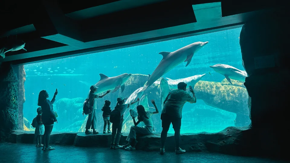 Marine Park